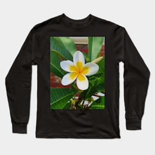 Frangipani Long Sleeve T-Shirt